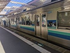 -伊豆观海列车