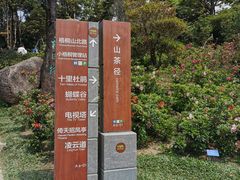 -梧桐山风景名胜区