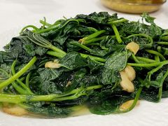 -金华安大酒楼·老牌潮菜·粤式茶点(东方国际店)