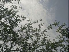 -浙江万里学院(钱湖校区)