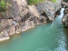 -广州白江湖森林公园