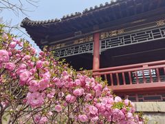 -碑林公园