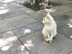 -竹吟山房