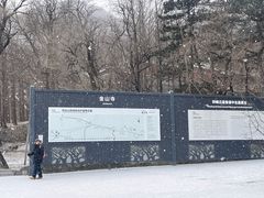 -阳台山自然风景区