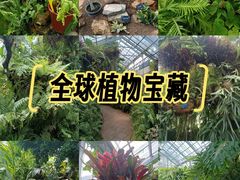 -国家植物园南园