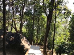 -火炉山森林公园