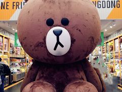 -line friends(明洞旗舰店)