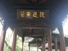 -上海佘山国家森林公园天马山园