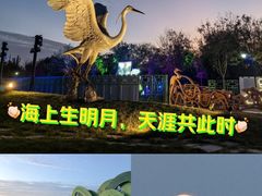 -天津东丽湖风景区