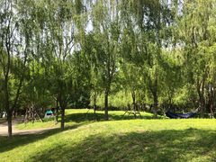 -长白岛森林公园