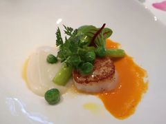 -蝶舍·MAISON PAPILLON