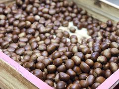 -阿男野栗王(金门路店)