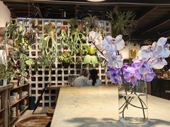 -自由生长植物工作室(深港花卉中心店)