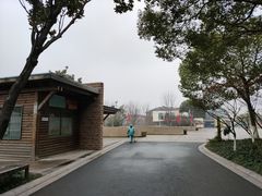 -青枫公园
