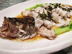 鳜鱼-紫圆 · 雅宴高级餐厅(杭州东站店)
