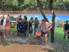 -西双版纳原始森林公园