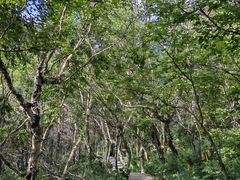 -白草畔自然风景区