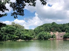 -广州市石门国家森林公园