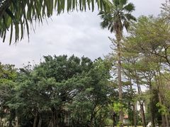 -中澳友谊花园