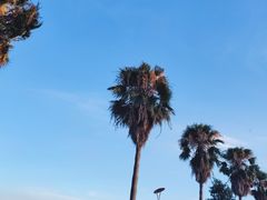 -黄金海岸环岛路