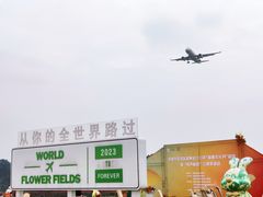 -空港花田景区