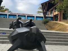 -广东惠东海龟国家级自然保护区