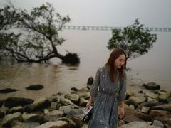 -宝安西湾红树林湿地公园