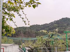 -丽泽山庄·生态怀柔菜·虹鳟鱼(红螺寺店)
