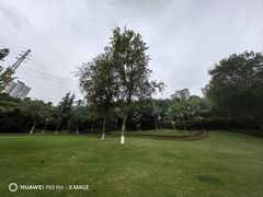 -龙头寺公园