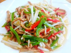茅草根肉丝-漁耕小厨农家院(武当山店)