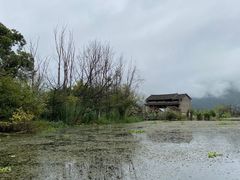 -大理洱源西湖景区