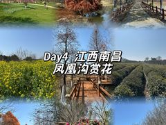 -凤凰沟景区