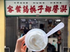 -洪馨椰子