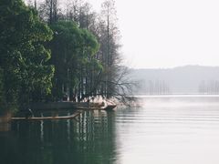 -东湖落雁景区