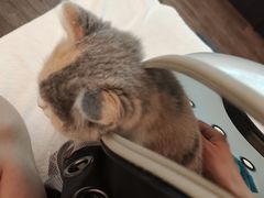 -和子足浴SPA会馆(东方之门店)