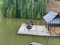 -常州武进九洲喜来登酒店