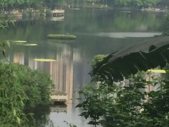 -重庆彩云湖湿地公园