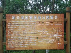 -重庆彩云湖湿地公园