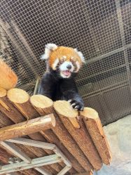 -Zoolung Zoolung动物主题公园(海信广场店)