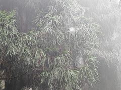 -太阳湾风景区