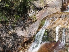 -九龙江国家森林公园