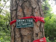 -北陵公园