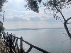 -东寨港红树林旅游区