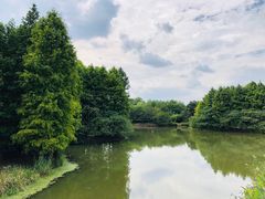 -梁鸿国家湿地公园