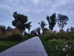 -汉长安城未央宫国家考古遗址公园