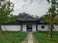 -上海滨江森林公园