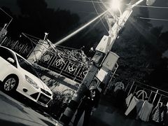 -溪岸路花鸟市场