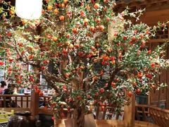 大堂-北平楼·烤鸭·北京菜(牡丹园店)