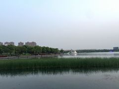 -暨阳湖生态园