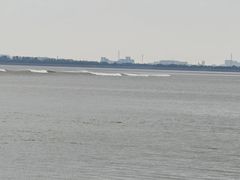 -观潮胜地公园
